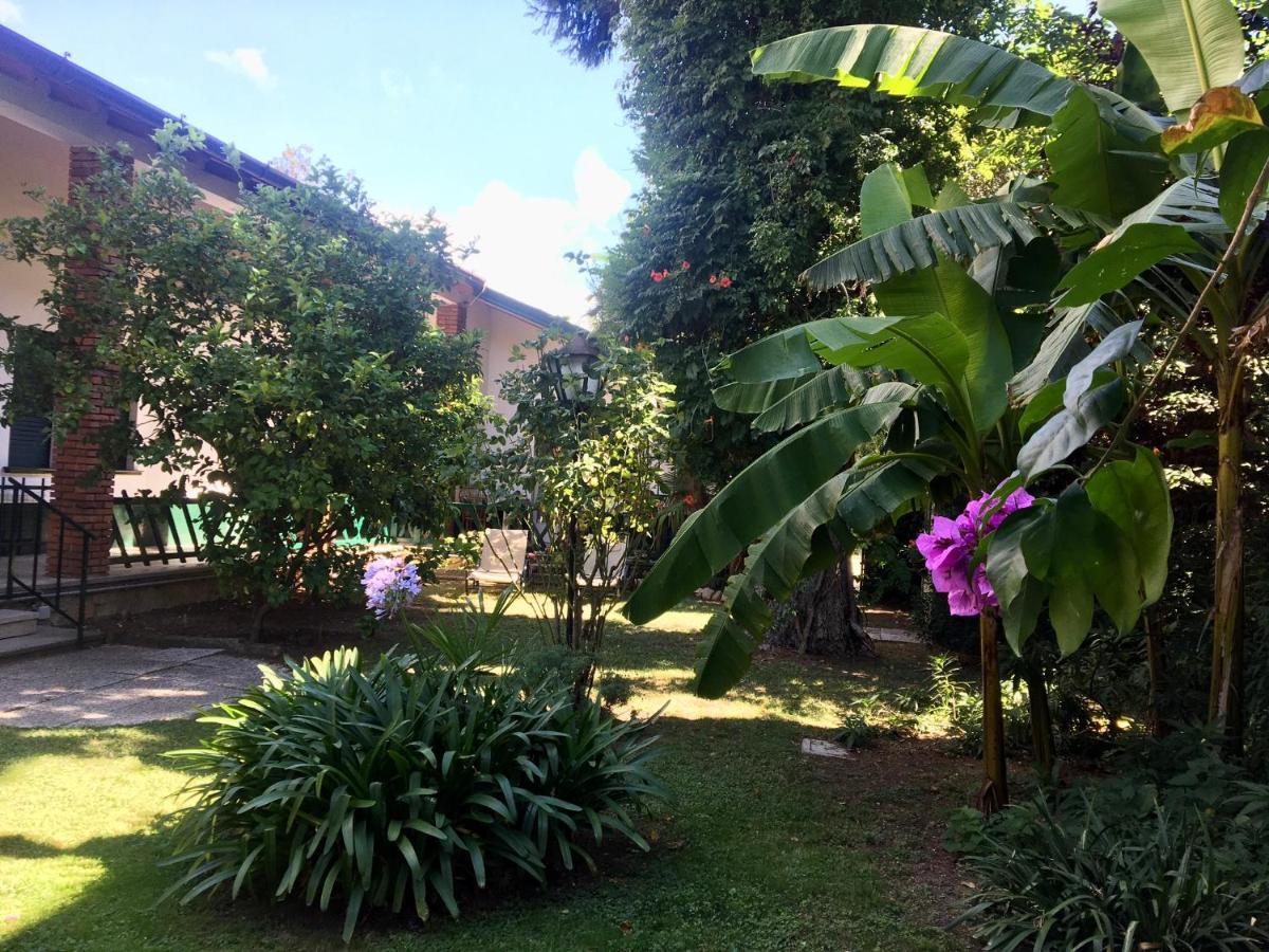 Casa Vacanze Gabbianella Villa Con Giardino Lungolago Maderno Toscolano Maderno Eksteriør billede